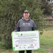 https://www.vinocorpperu.com/images/bodegas/lakebreeze/eco vineyard-min.jpg